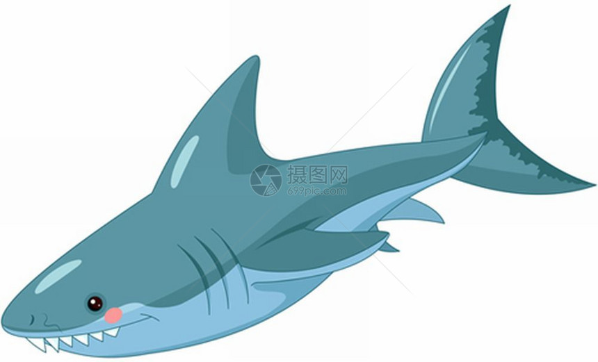 可爱鲨鱼插图图片