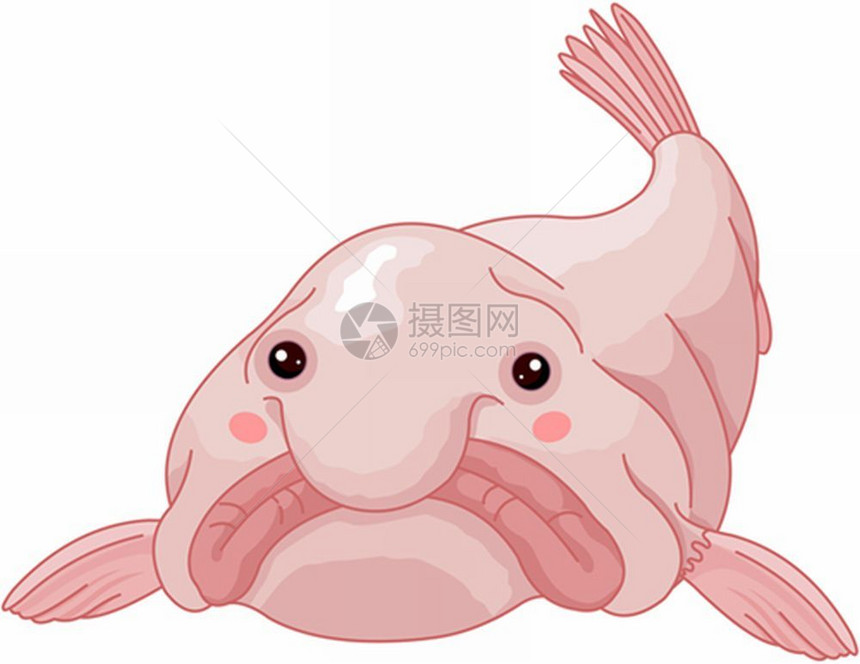 可爱浮露鱼插图图片