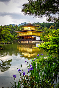 日本京都的金阁寺展馆金阁寺京都日本图片
