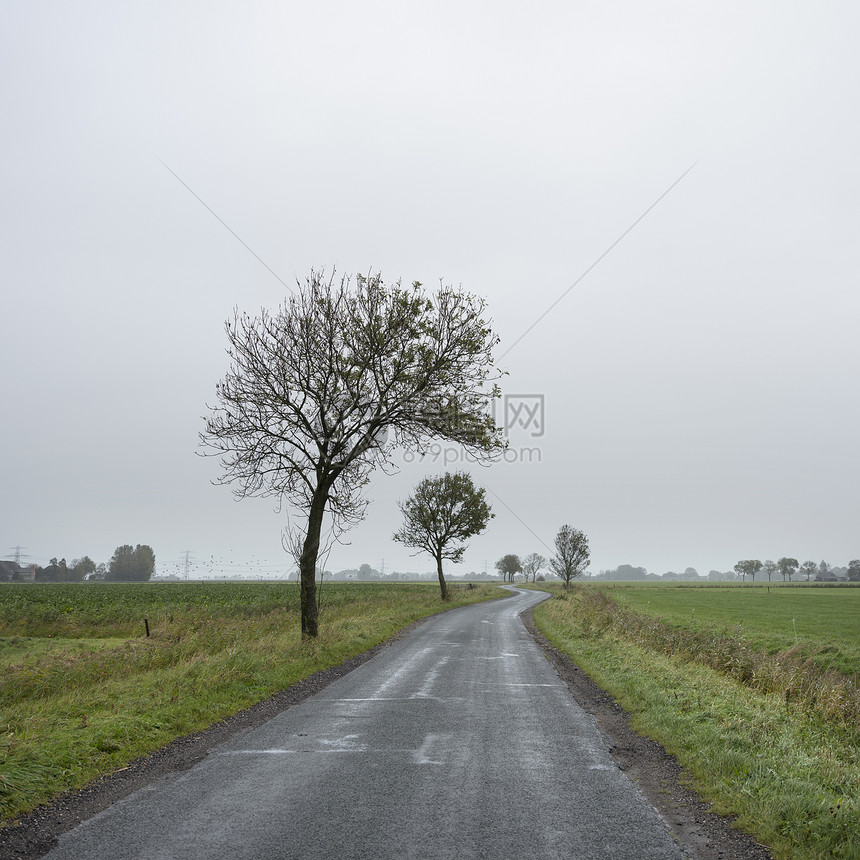 在秋天雨杜特奇的乡下绿草地与树木连成一片的乡间公路图片