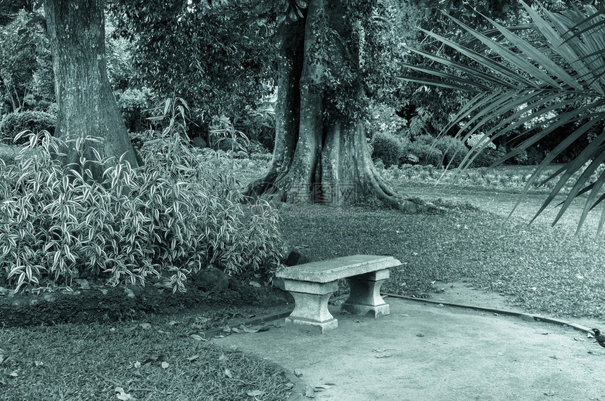 热带公园的长椅旧式照片图片