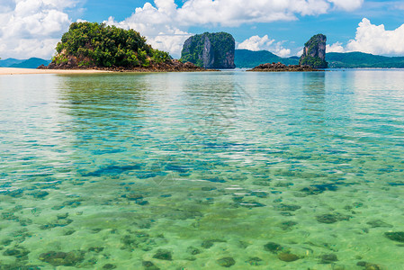 粽横似海具有山景清水的横美丽海风景观背景