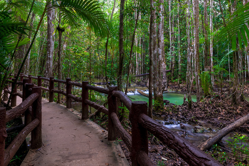 在美丽的泰王国森林里一条长的步行小道上巨大的栅栏图片