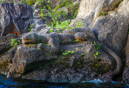新西兰马蜥蜴陶波湖马岩雕刻图片