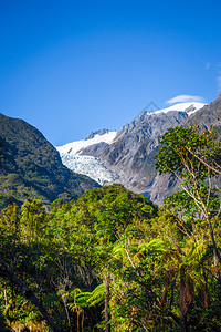 FranzJosef冰川和雨林景观新西兰franz冰川和雨林图片