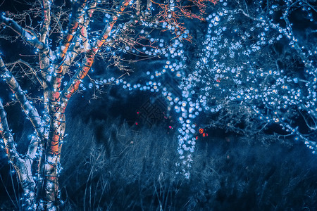贝尔蒙特露台圣诞节季装饰和花园灯光背景
