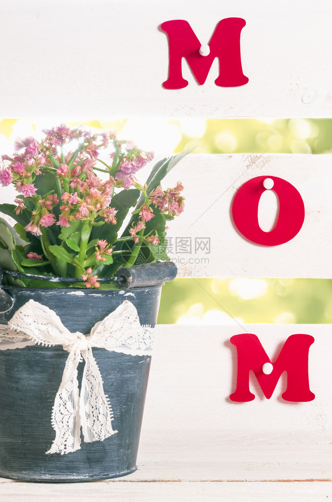 妈用红色纸信写的字被钉在白色的栅栏上花盆里放着鲜装在桶子上带丝和弓图片
