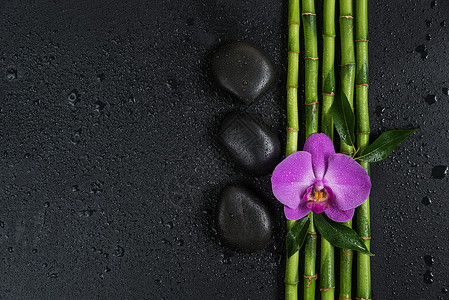 黑底竹子素材岩石雨林高清图片