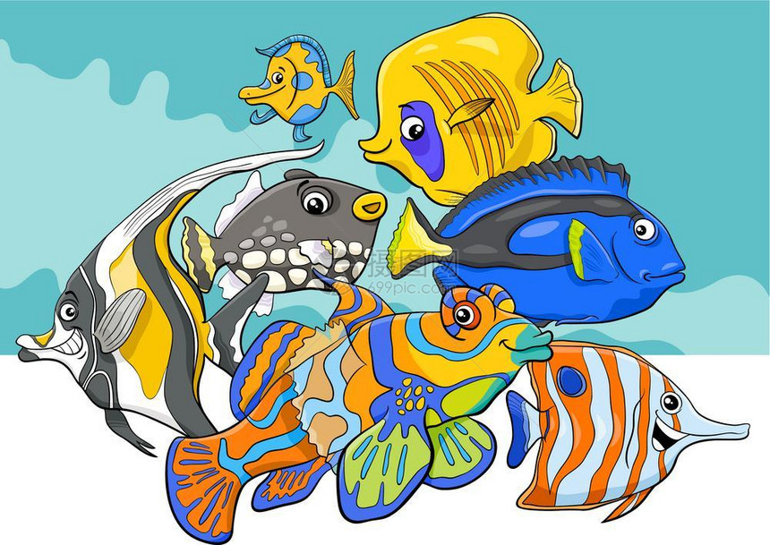 热带鱼类海洋生物漫画插图图片