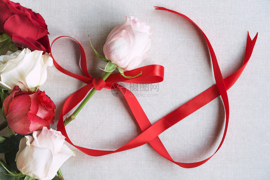 女白天的形象粉红玫瑰绑着色丝带形状为8号周围是红玫瑰和白图片