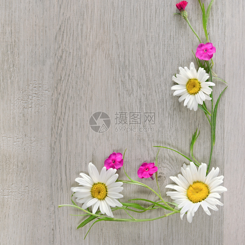 花朵组成框架由香菊花和朵组成平坦的躺下顶部视图文本自由空间图片