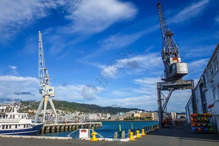惠灵顿市港口码头起重机新西兰北部岛屿图片