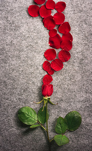 情人节日卡上面有一朵美丽的红玫瑰花瓣以波形式散布在古老的料背景上图片