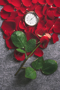 红玫瑰花瓣环绕着红玫瑰花瓣环绕着灰色布料背景的旧袖珍手表图片