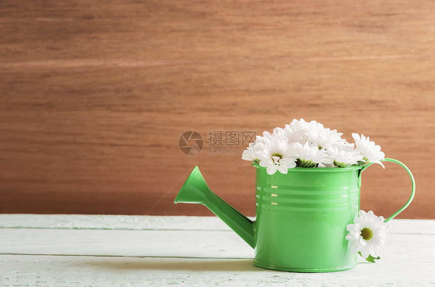 在阳光明媚的一天里春光景象带有小绿水充满了白色的精细小菊花在一张桌子和面木墙上图片