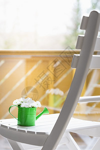 美丽的白菊花束在绿水罐里白木椅子上和在大窗户的反射在阳光明媚的春天图片