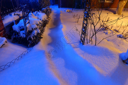 夜晚由街道灯照亮夜晚由雪图片