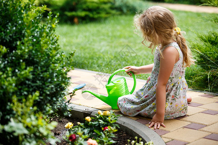 小女孩浇水在花园里浇水的可爱小女孩背景
