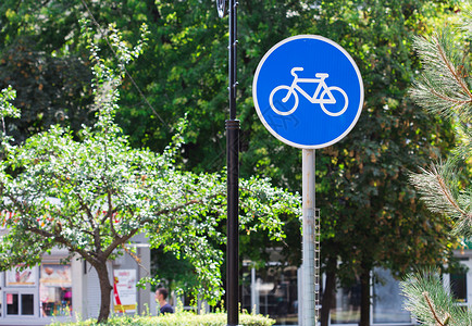 有树木背景的蓝色自行车道标志有树木背景的蓝色自行车道标志图片