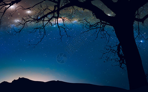 在夜空和枯树的乳汁幻想风景背图片