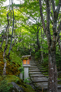 日本京都荒山竹林中的神殿神灯日本京都久子寺的灯背景图片