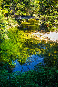 新西兰AbelTasmn公园的河上桥梁Tasmn公园图片
