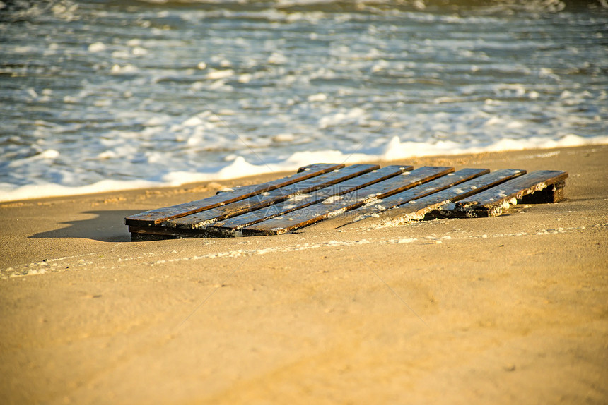 漂浮木黄海沙滩的调色板图片