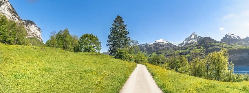 阿尔卑斯山高原小巷穿过绿草在阿普斯山上春光明媚的一天在斯威采兰州圣加仑华伦西湖上图片