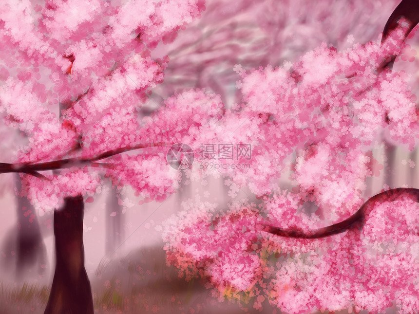以粉红樱花树为例图片