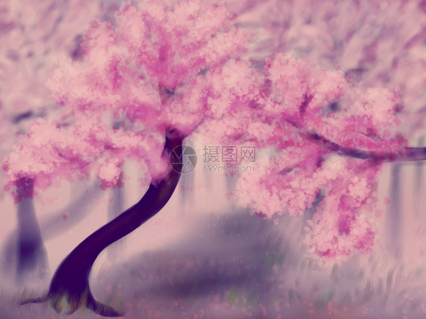 以粉红樱花树为例图片