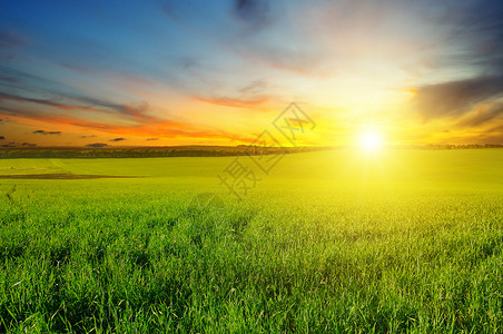 绿色的田野和蓝天空有光云地平线上是明亮的日出农业景观背景图片