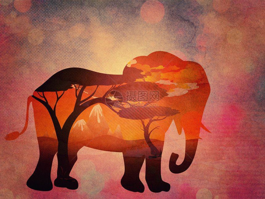 日落场景多彩非洲风充满树木和大象的轮廓有纸质纹身图片