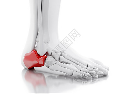 3d说明白色背景上疼痛的脚踝医学概念背景图片