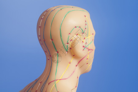 蓝底人类头部的血压清针孔模型图片