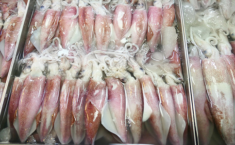 市场上原鱿鱼堆积在市场上高清图片