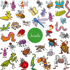 螳螂射击蚯蚓卡通可爱的昆虫插画