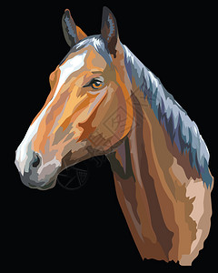 基纳trakehn马的彩色画像马头设计图片