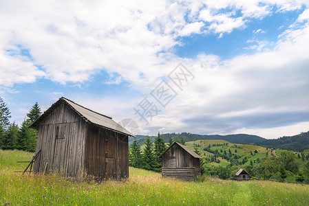 领域谷仓在罗马尼亚州萨达诺瓦附近的喀尔巴阡山脉里在一片充满野花的绿草地中间连续用木制谷仓进行生锈的布景背景