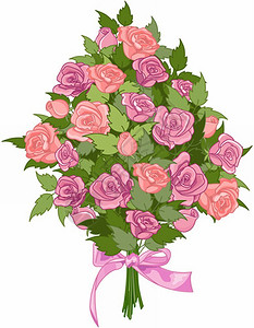 玫瑰花束插图图片
