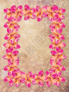用棕色背景的花朵做纹框丁香效应图片