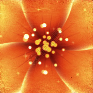红橙色的花朵厚背面图片