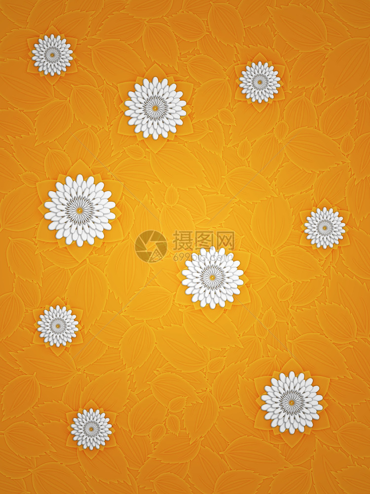 橙色背景的白花和秋叶图片