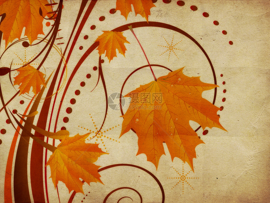 秋天装饰品纸面上印有橙色的树叶图片