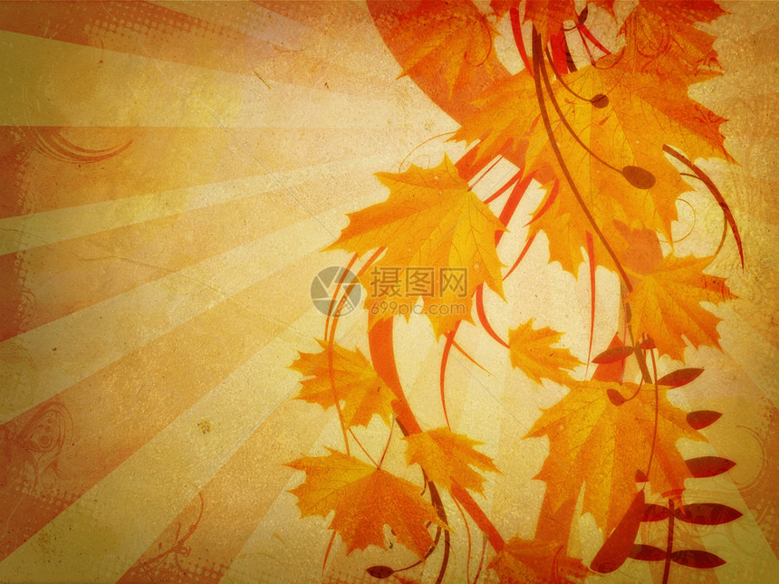 秋天花纹装饰品橙色的树叶图片