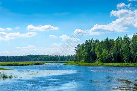 阳光明媚的一天美丽风景农村的河流图片