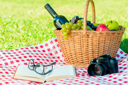 一个带食物和酒精的野餐篮子一本书和公园桌布的照相机图片