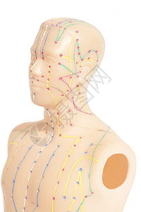 白背景与人类隔离的体外针孔穿模型黑背景与人类隔离的体外针穿模型图片