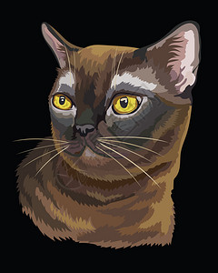 黄色眼睛的猫手绘猫头矢量卡通设计元素设计图片