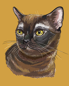 黄色眼睛的动物卡通可爱猫肖像图设计图片