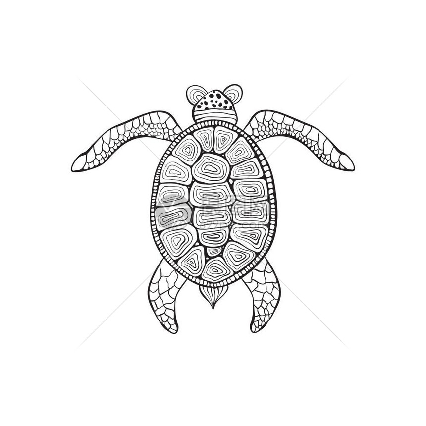 手工绘制的海龟图片